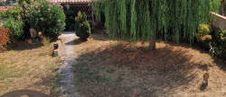 vente Maison Longages