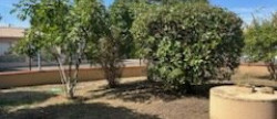 vente Maison Muret