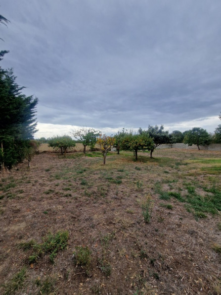 vente Maison Noe - Photo 8