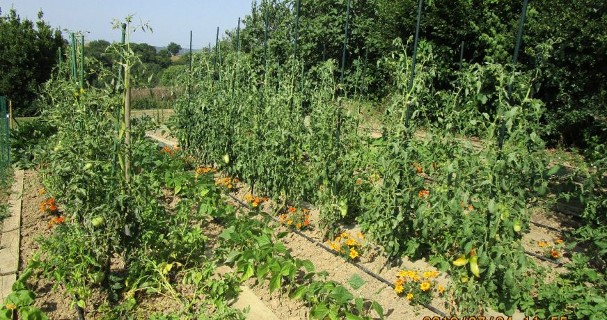 vente Maison de caractère Aurignac