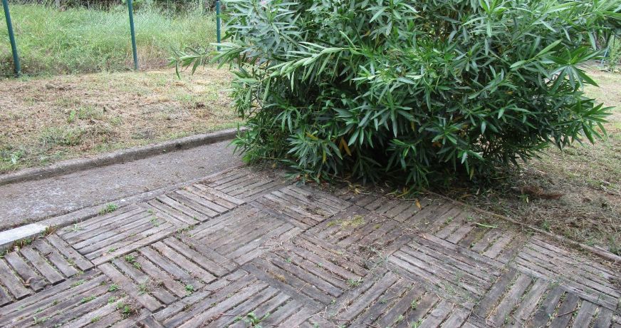 vente Maison de village Aurignac