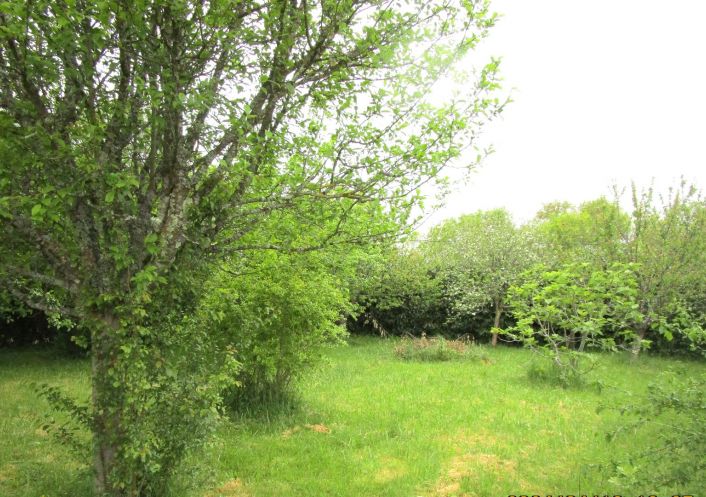 vente Maison de campagne Saint Plancard