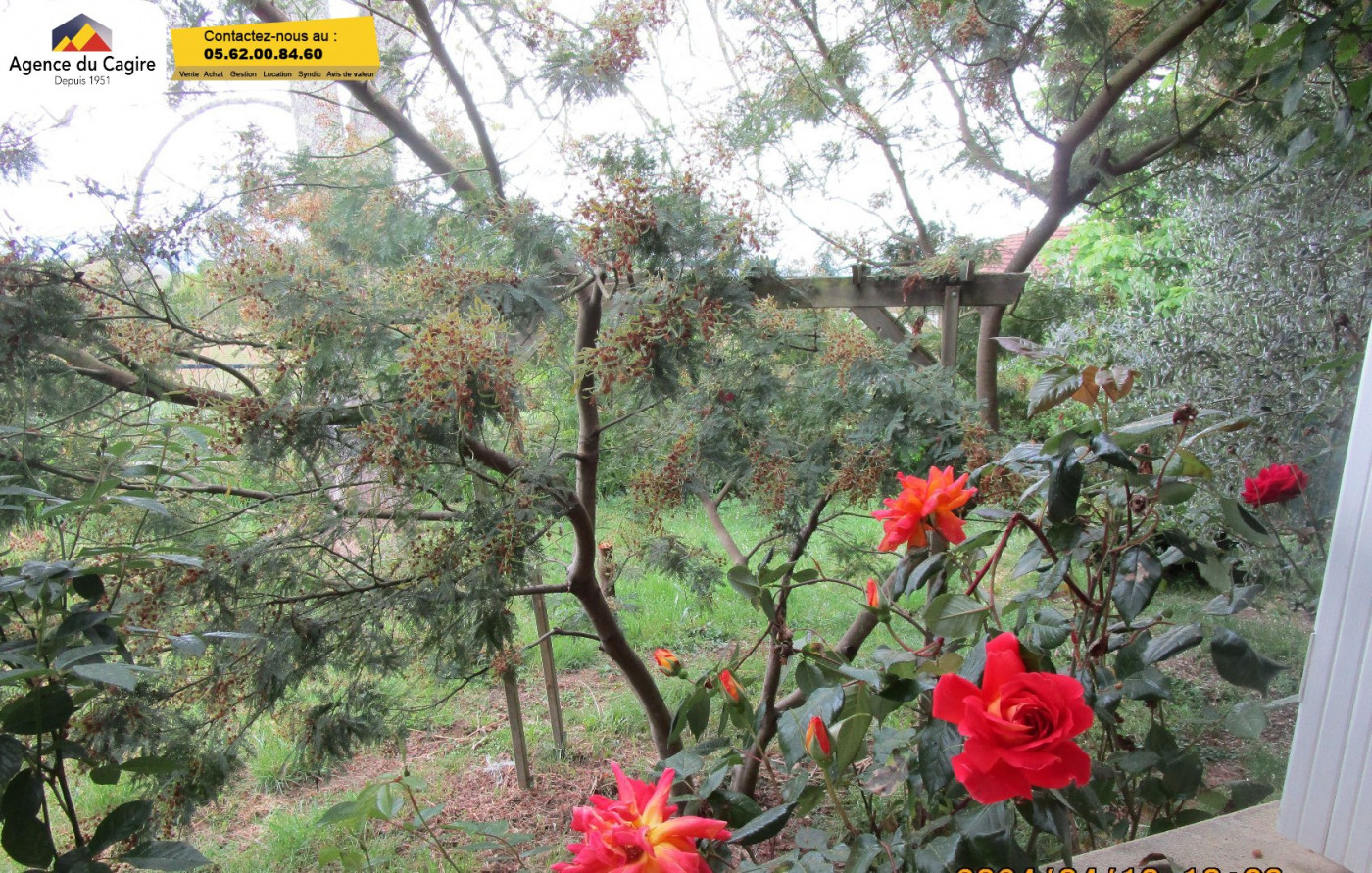 vente Maison de campagne Saint Plancard - Photo 6