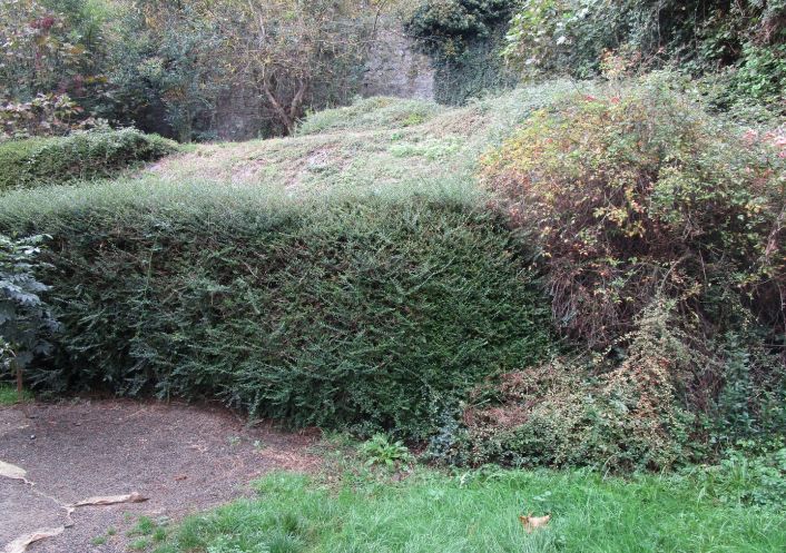 vente Appartement terrasse Saint Gaudens