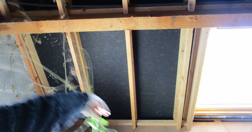 vente Maison et terrain Couledoux