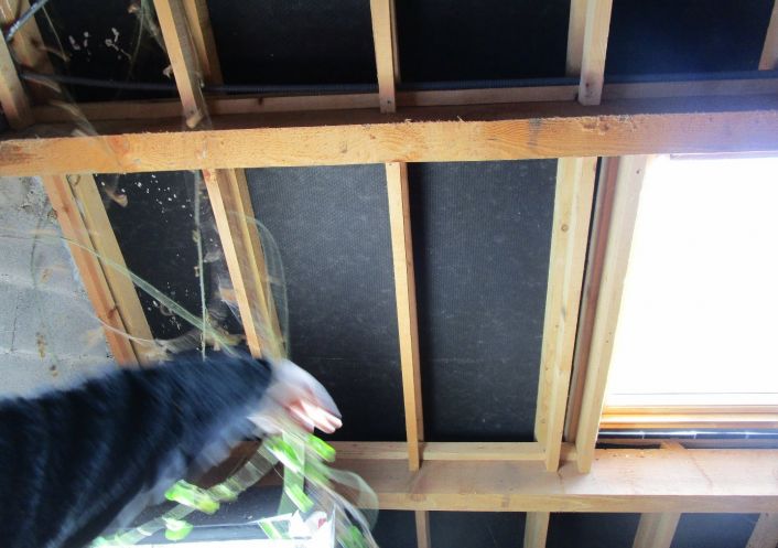 vente Maison et terrain Couledoux