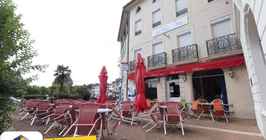 vente Immeuble Salies Du Salat