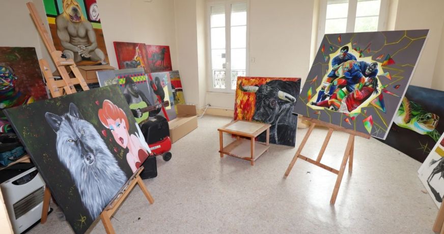 vente Immeuble Salies Du Salat