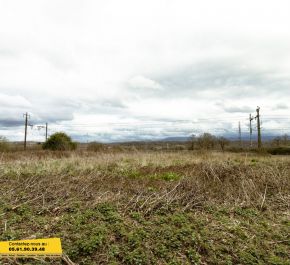 vente Lestelle De Saint Martory