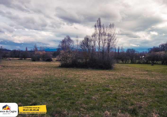 vente Terrain Beauchalot