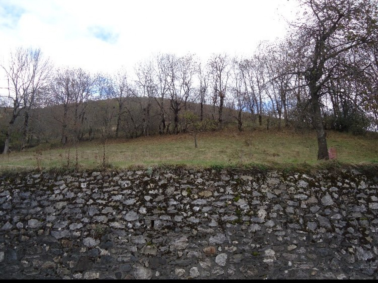 vente Terrain constructible Mayregne - Photo 2