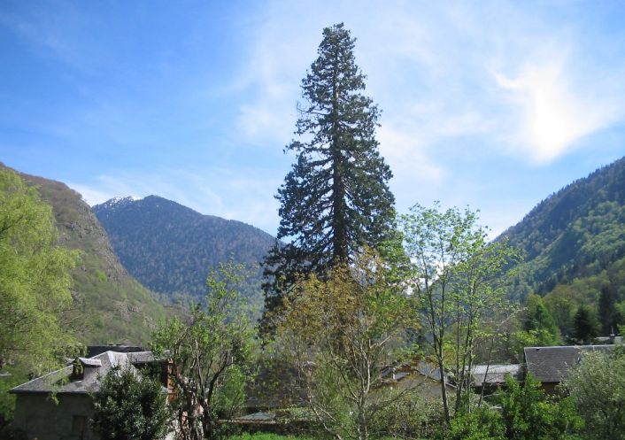 vente Appartement Bagneres De Luchon