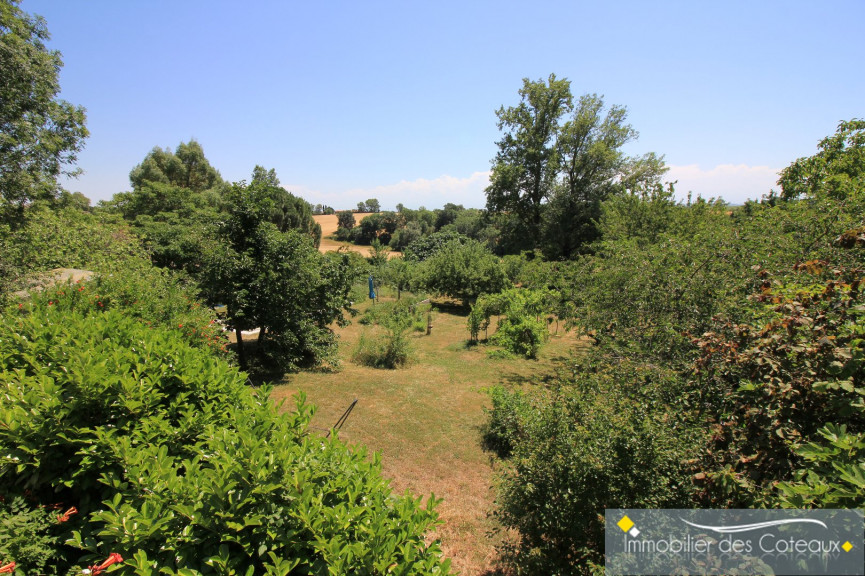 vente Maison Clermont-le-fort - Photo 3