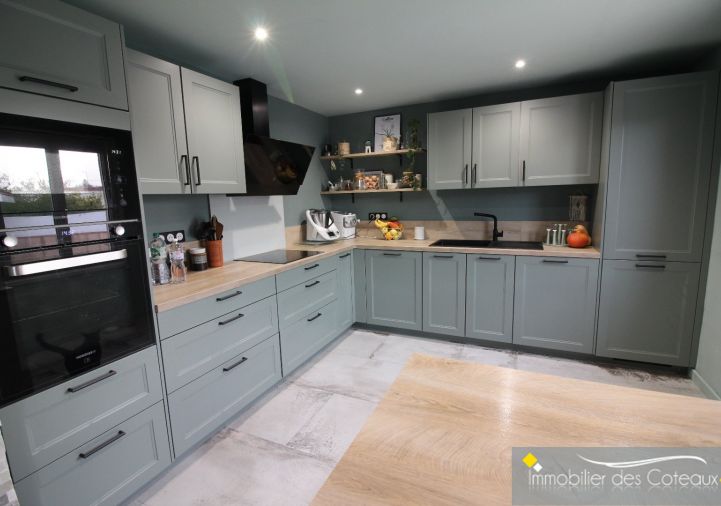 vente Maison Pins-justaret