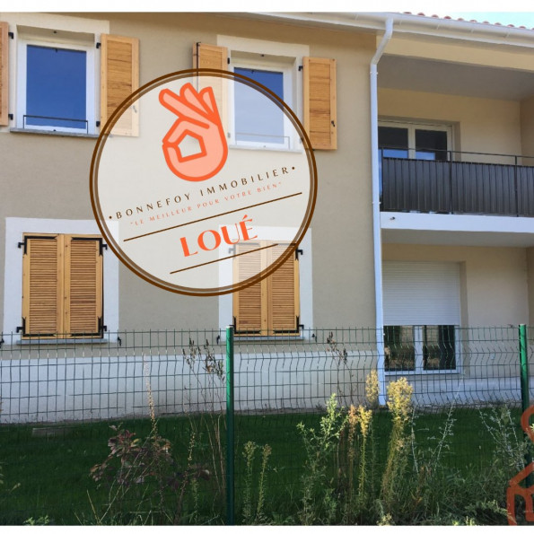 location Appartement La-salvetat-saint-gilles - Photo 1