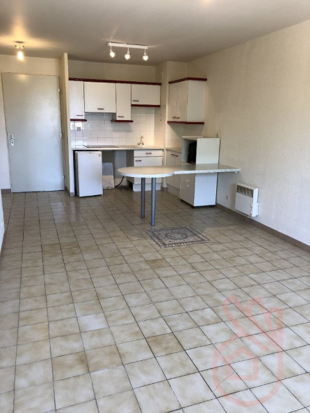 location Appartement Plaisance-du-touch - Photo 1