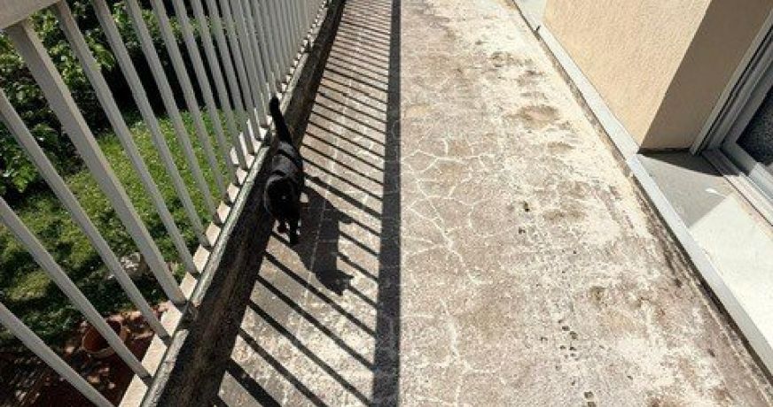 vente Maison Toulouse