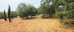 vente Maison Villemur-sur-tarn