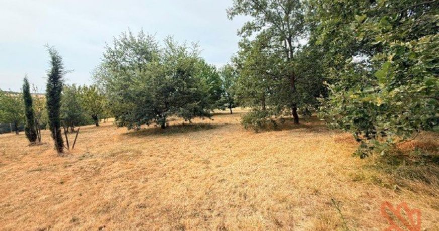 vente Maison Villemur-sur-tarn