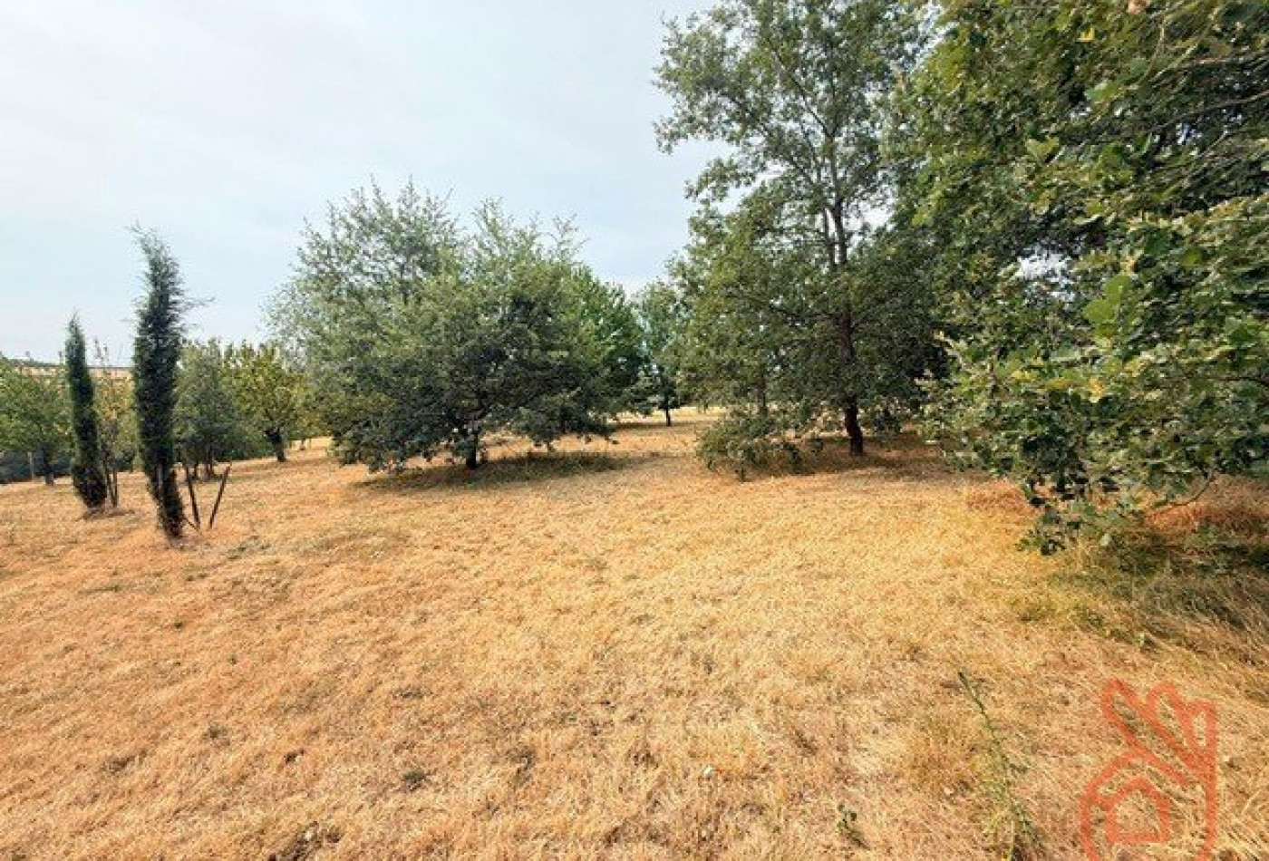 vente Maison Villemur-sur-tarn - Photo 9