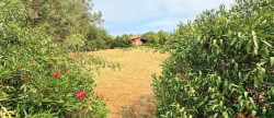vente Maison Villemur-sur-tarn