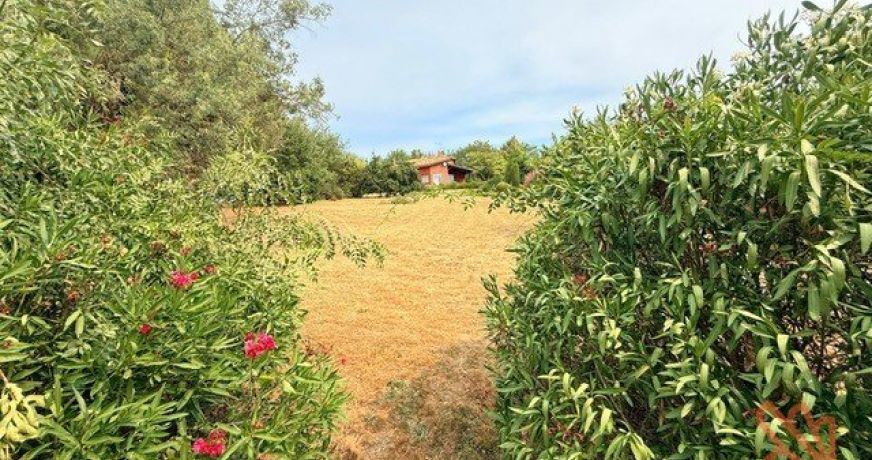 vente Maison Villemur-sur-tarn