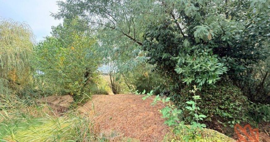 vente Maison Villemur-sur-tarn