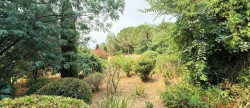 vente Maison Villemur-sur-tarn