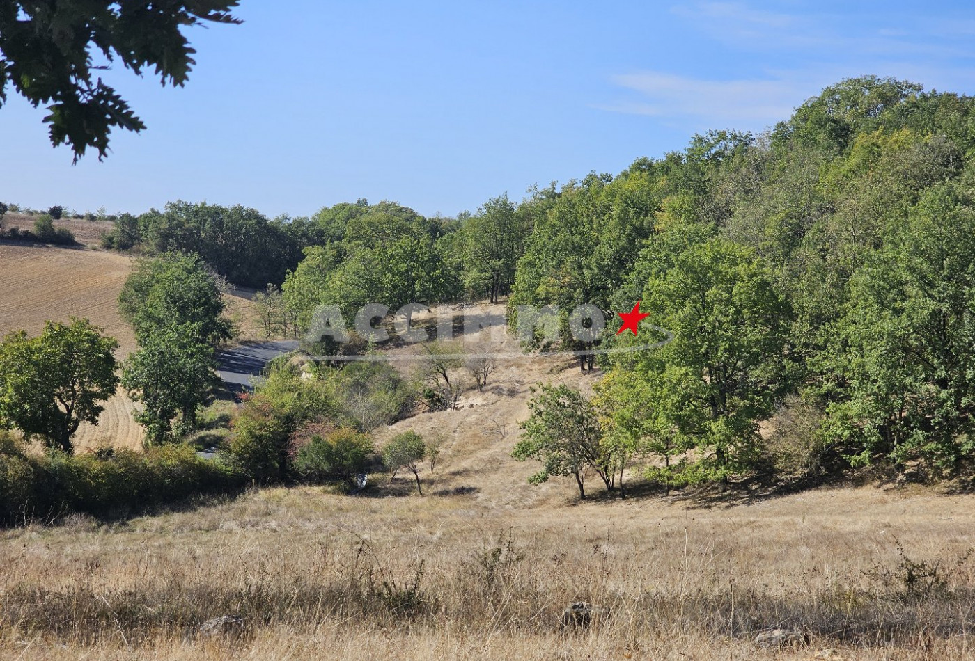 vente Maison Realmont - Photo 8