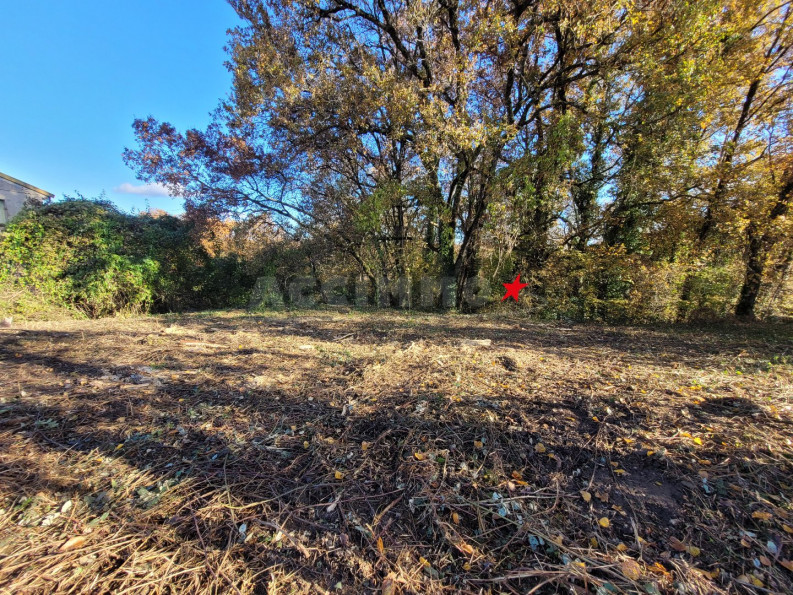 vente Terrain Graulhet - Photo 1