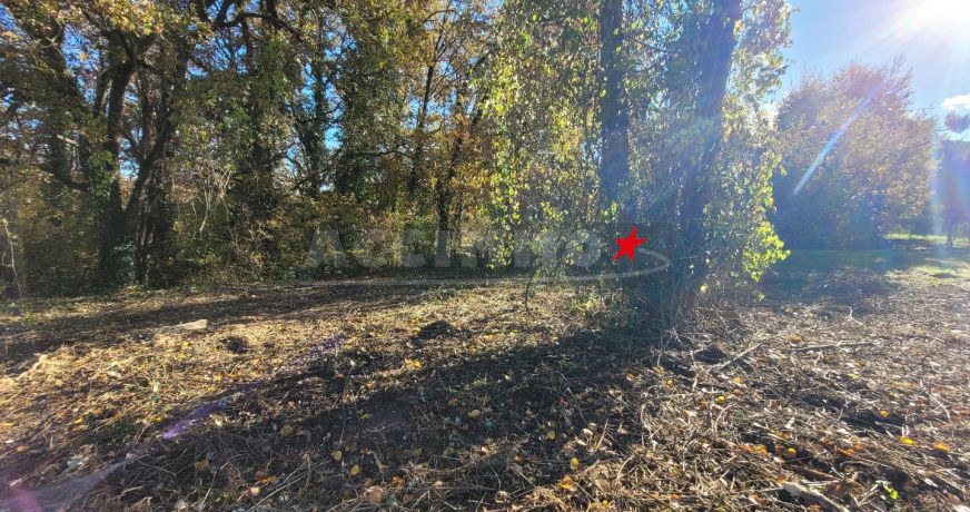 vente Terrain Graulhet