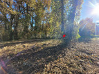 vente Terrain Graulhet