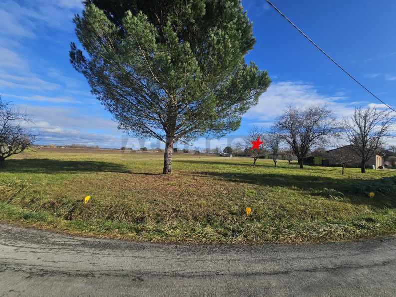 vente Terrain constructible Gaillac - Photo 3