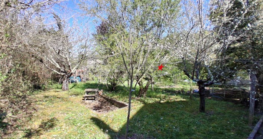 vente Maison Graulhet