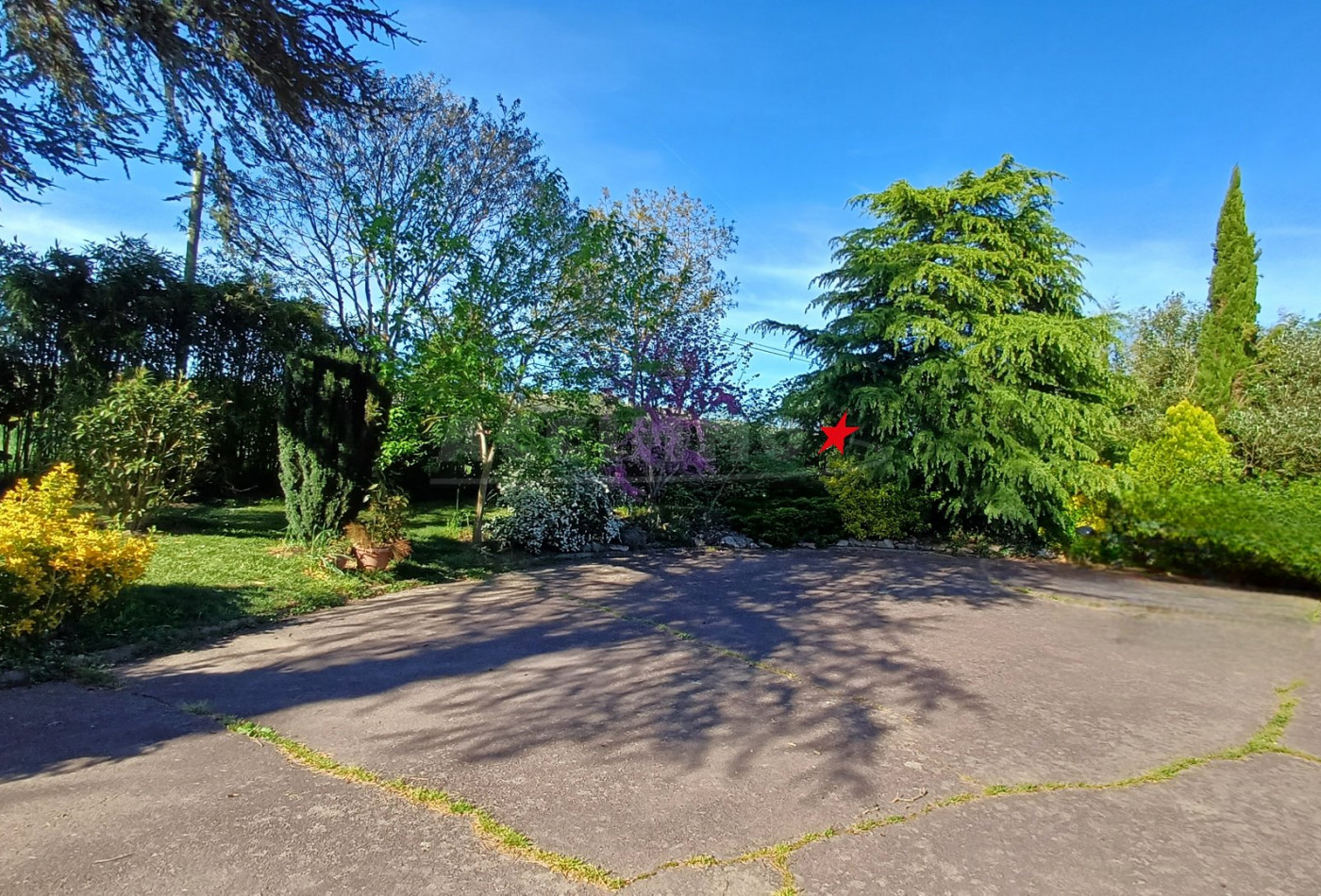 vente Maison Graulhet - Photo 10