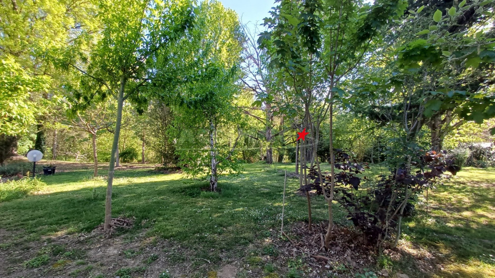 vente Maison Graulhet - Photo 9
