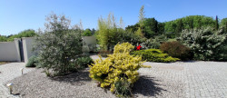 vente Maison Graulhet