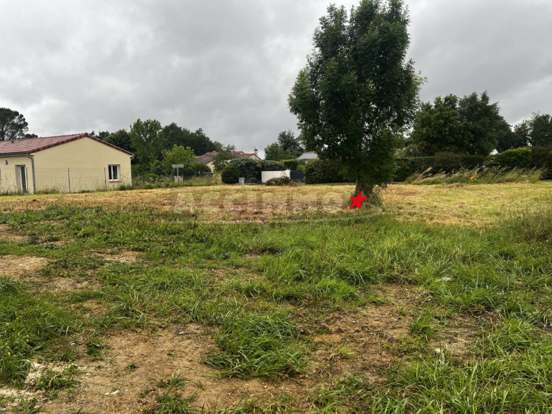 vente Terrain Gaillac - Photo 2