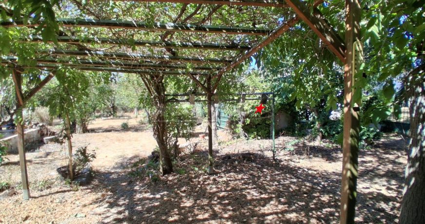 vente Maison Graulhet