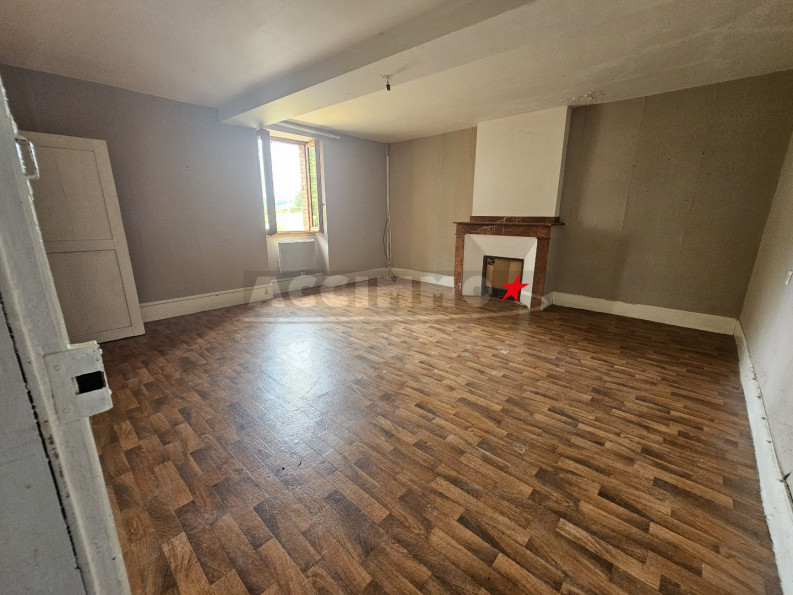 vente Maison Saint Julien Du Puy - Photo 4