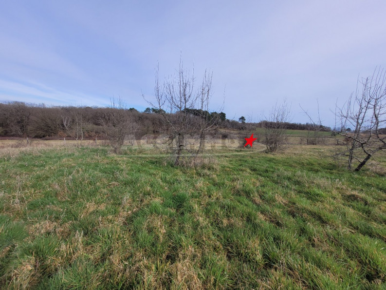 vente Terrain Gaillac - Photo 2