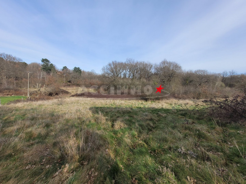 vente Terrain Gaillac - Photo 1