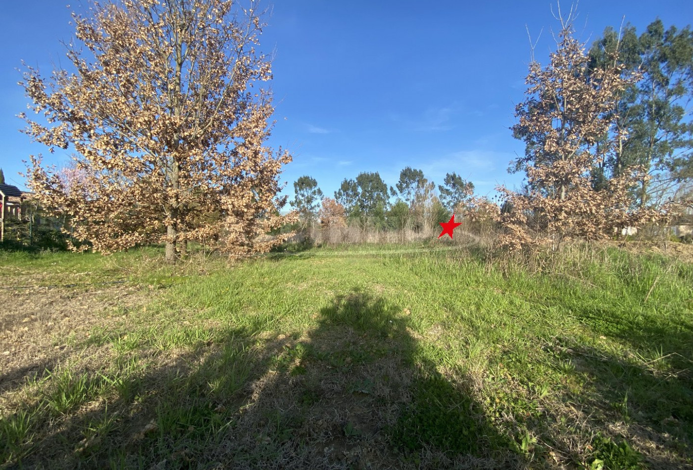 vente Terrain Saint-sulpice-la-pointe - Photo 1