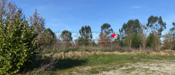 vente Terrain Saint-sulpice-la-pointe