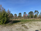 vente Terrain Saint-sulpice-la-pointe