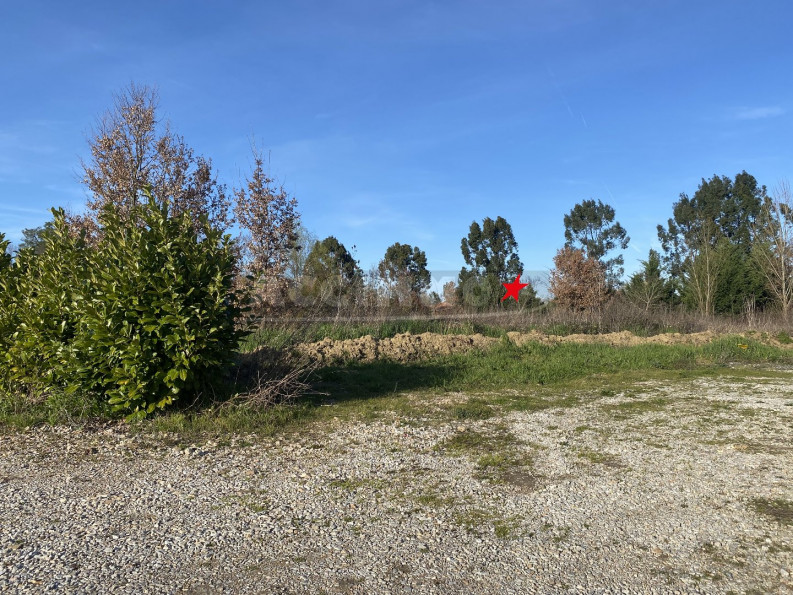 vente Terrain Saint-sulpice-la-pointe - Photo 4