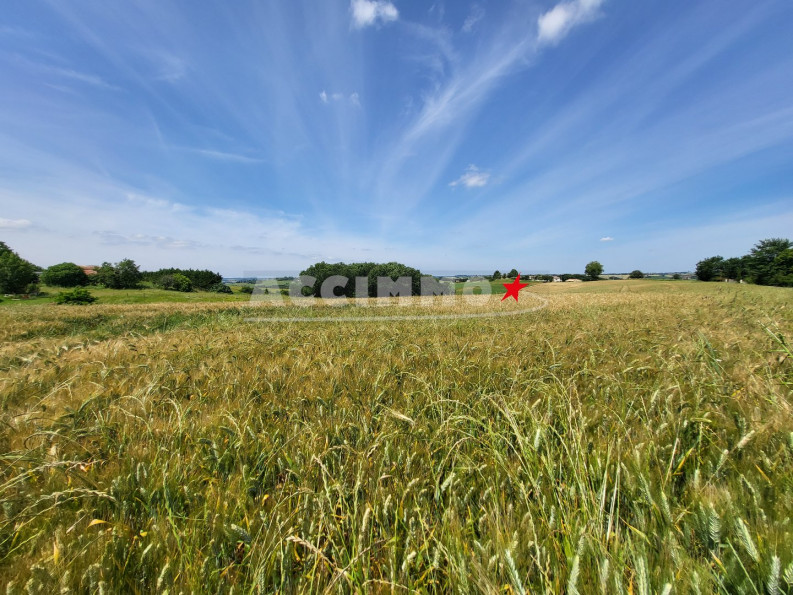vente Terrain Viviers Les Lavaur - Photo 1