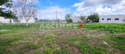 vente Terrain constructible Saint-sulpice-la-pointe