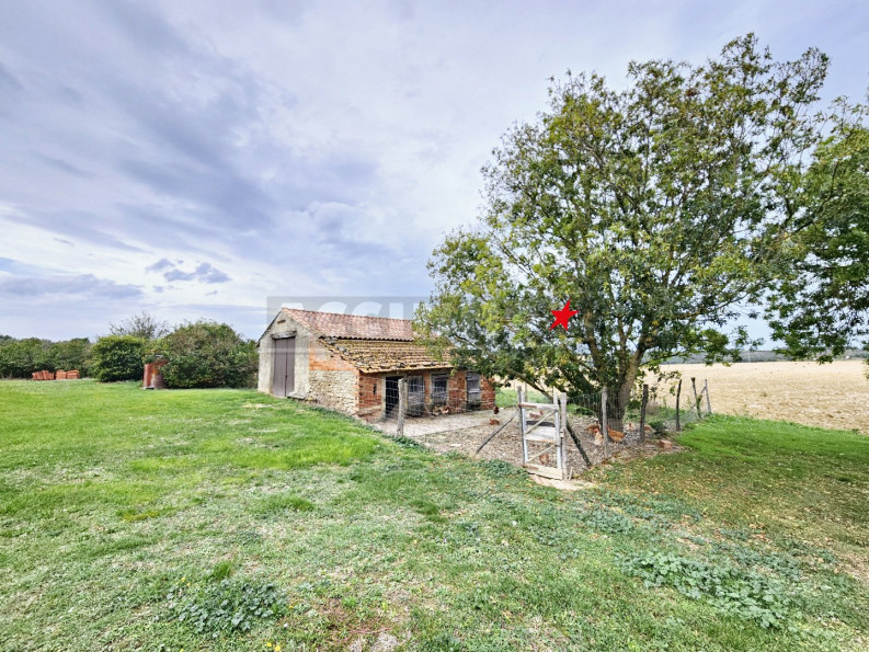 vente Maison Caraman - Photo 9