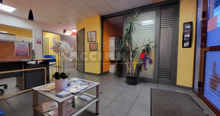vente Immeuble Lavaur